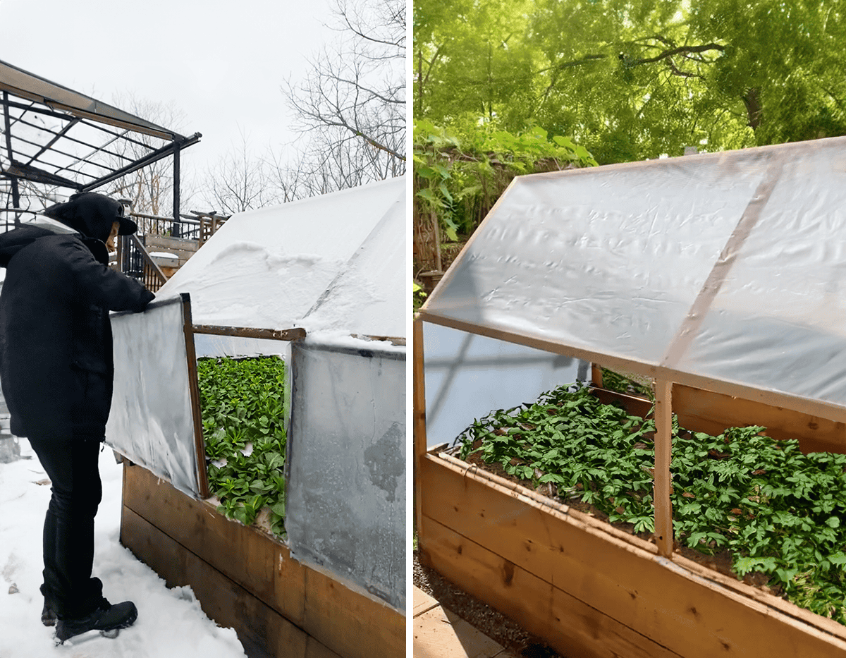 Stunning Luxury Apartments With Green Walls And Self Sustaining Greenhouses image